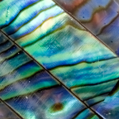 Bamaluz Abalone Treth.