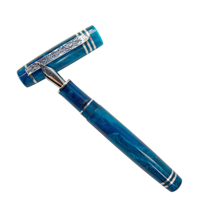 Fountain Pen, Steeler.