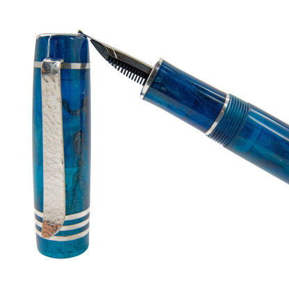 Fountain Pen, Steeler.