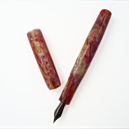 Simply Elegant Fountain pen two for the price of one !